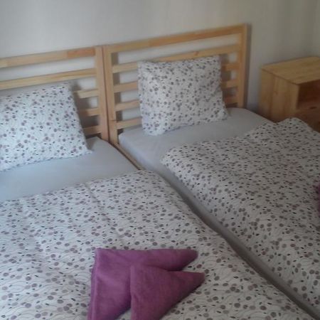 Apartment Zamecka Decin Kamer foto